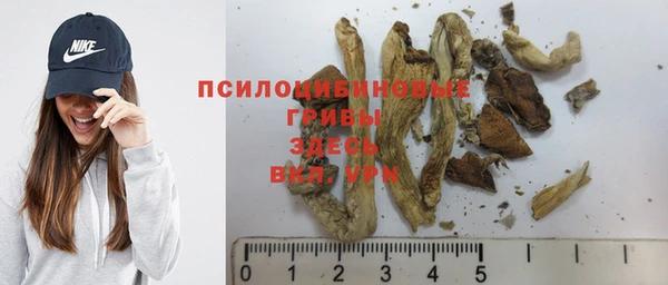 индика Михайловск