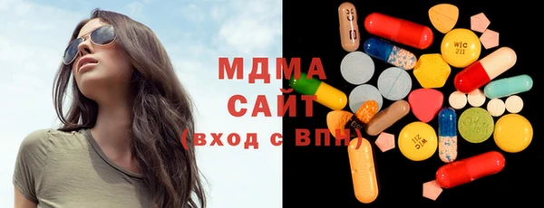 индика Михайловск