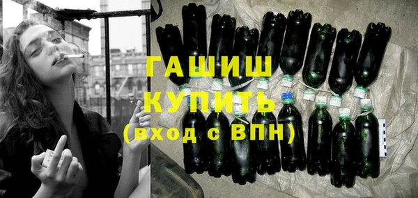 индика Михайловск