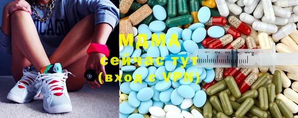 индика Михайловск