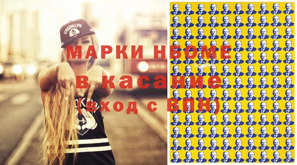 индика Михайловск