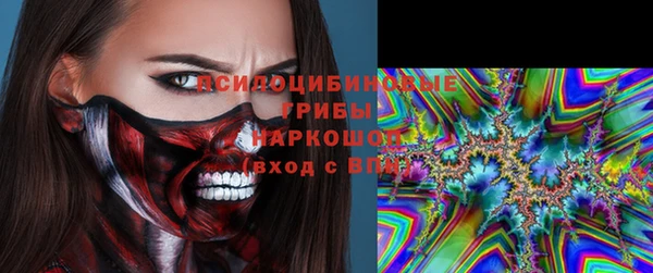 индика Михайловск