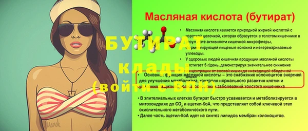 индика Михайловск