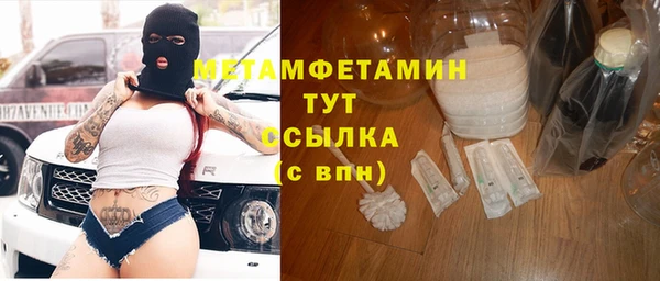 индика Михайловск