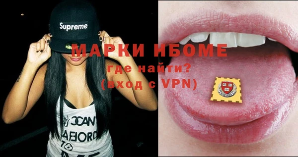индика Михайловск