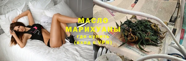индика Михайловск