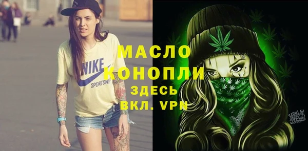 индика Михайловск