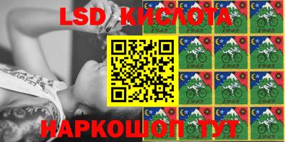 дурь Берёзовский