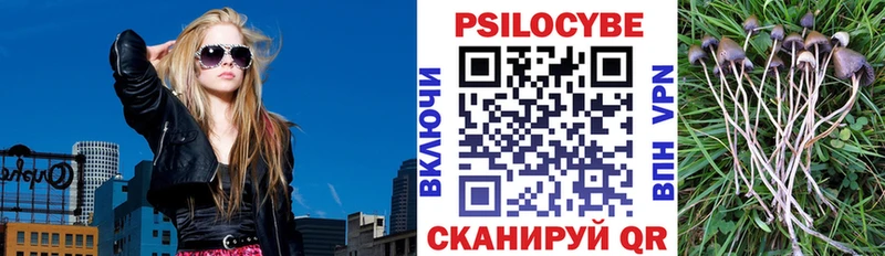 blacksprut маркетплейс  купить наркотики цена  Шатура  Галлюциногенные грибы Psilocybine cubensis 