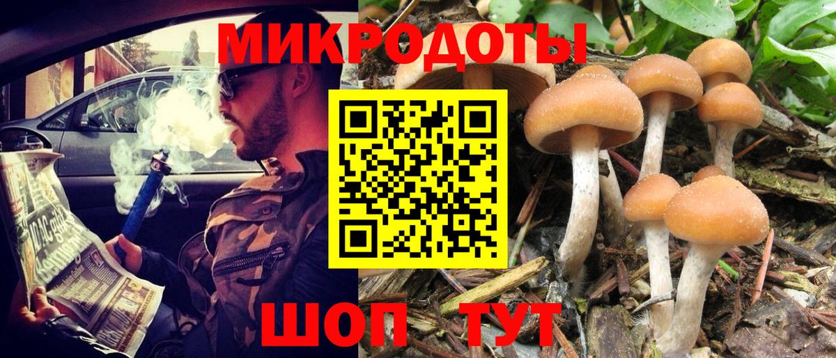 Псилоцибиновые грибы GOLDEN TEACHER  Вход с VPN  Галлюциногенные грибы мицелий  Шатура 