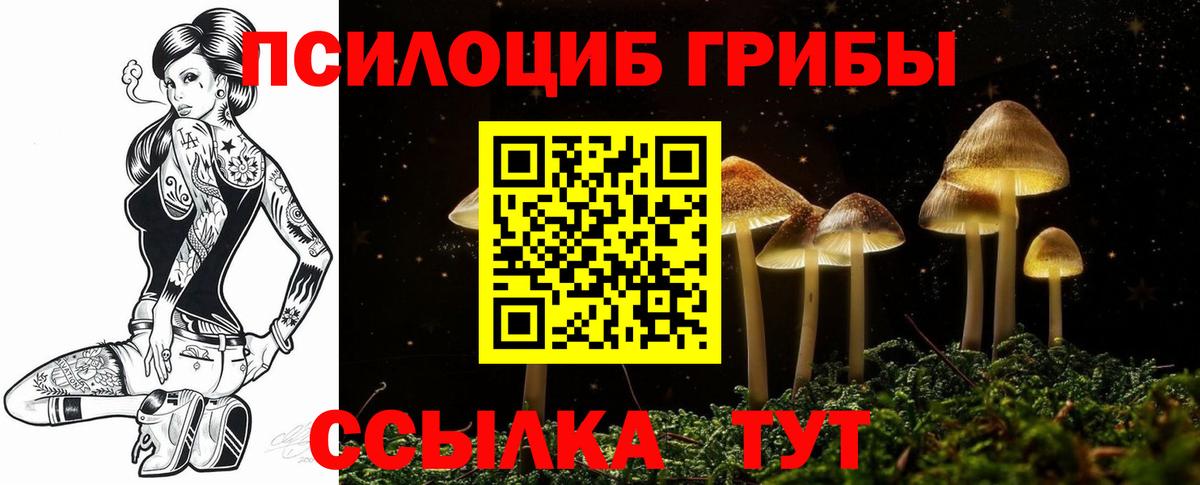 Псилоцибиновые грибы ЛСД Шатура