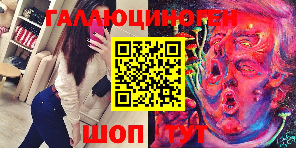 Псилоцибиновые грибы Psilocybine cubensis  купить   Псилоцибиновые грибы мицелий  Шатура 